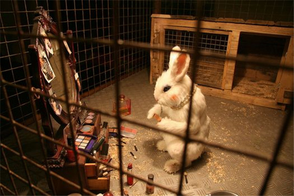 banksys - rabbit