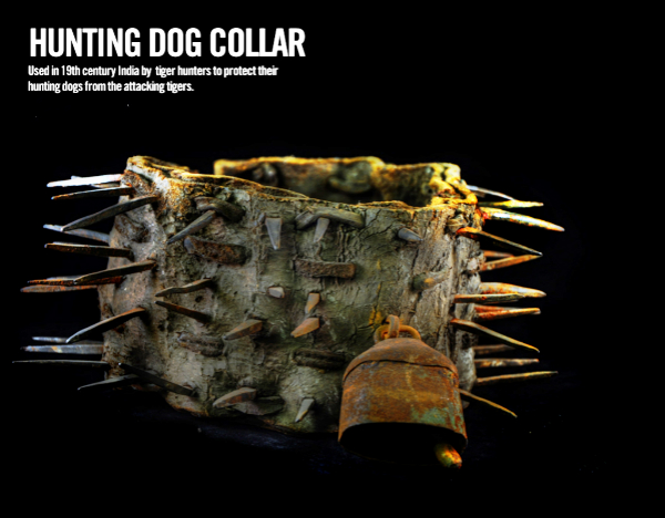 dog-collar-museum