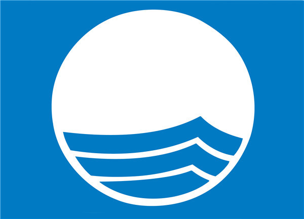 Blue-Flag logo